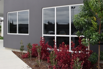 Baptist-Church-garden